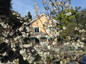 B&B La Rosa Segreta, Genova